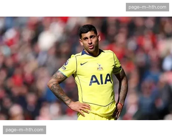 热刺降级概率达48.68%，若降级将面临2亿英镑收入蒸发